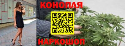 СК Канаш