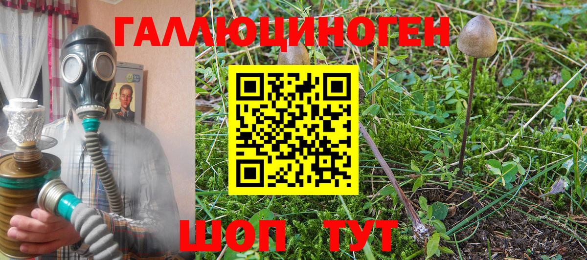 Галлюциногенные грибы GOLDEN TEACHER Копейск